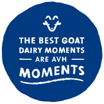 Logo Best Dairy groot